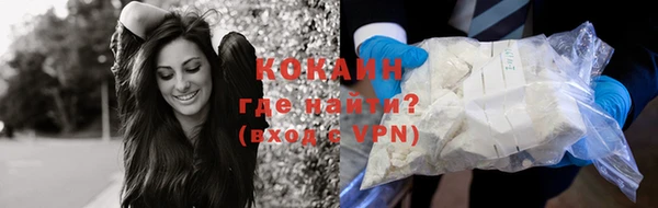 индика Сатка