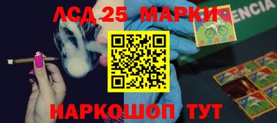 apvp Тверь