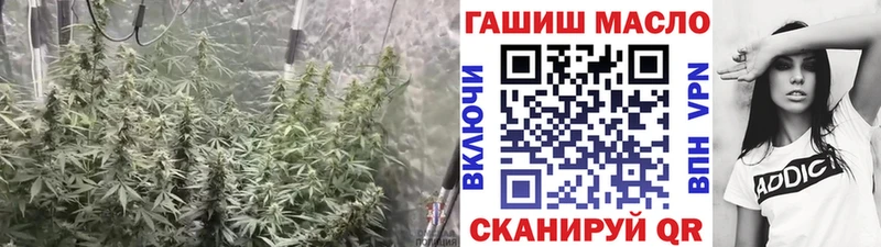 ОМГ ОМГ ссылки  Тулун  Дистиллят ТГК гашишное масло  закладка 