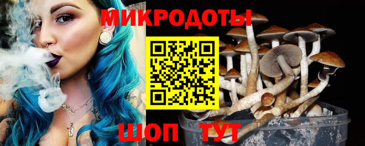 Галлюциногенные грибы прущие грибы  Вход с VPN  купить  сайты  Тулун 