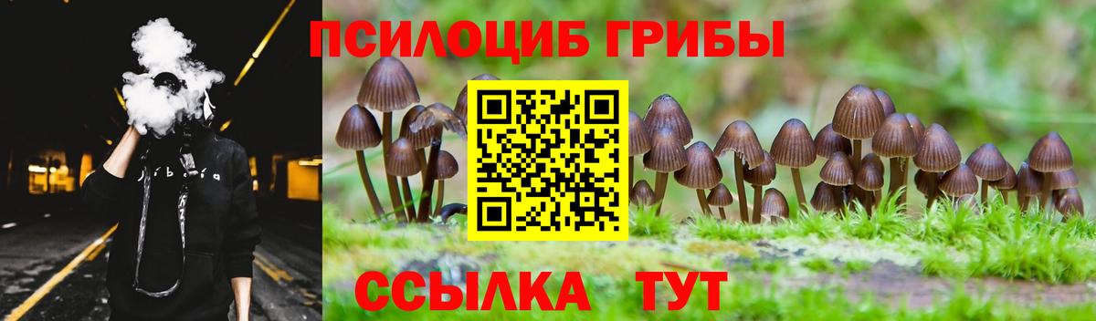 Псилоцибиновые грибы Magic Shrooms Тулун